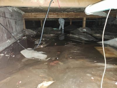 Water Damage Specialists