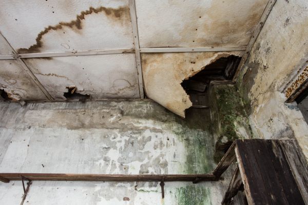 Water Damage Service in Elk River