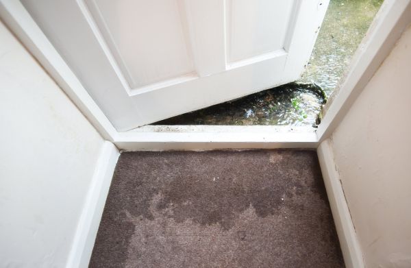 Wet Carpet Restoration in Elk River