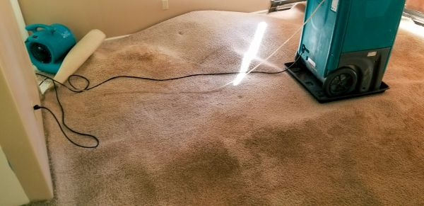 Flood Damage Cleanup in Elk River