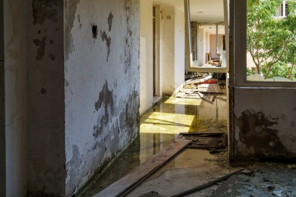 Water Removal Service in Elk River