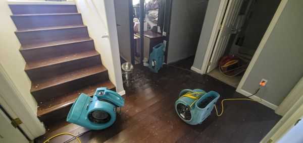 Water Damage Remediation in Elk River
