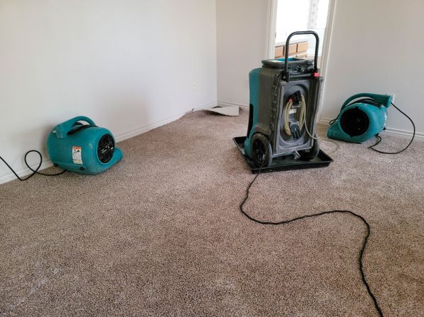 Water Damage Repair in Elk River