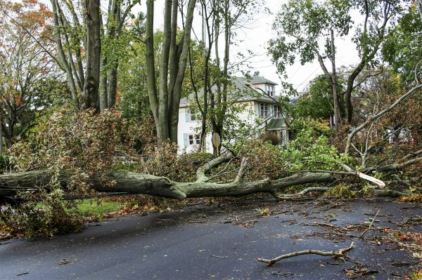 Tornado Damage Repair in Elk River
