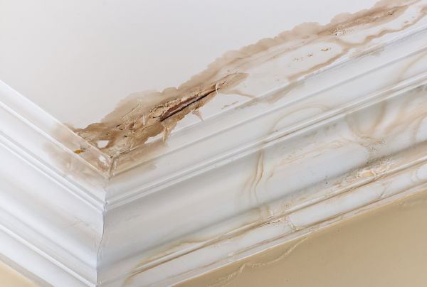 Water Damage Recovery in Elk River